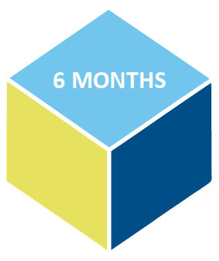 6 months cube icon