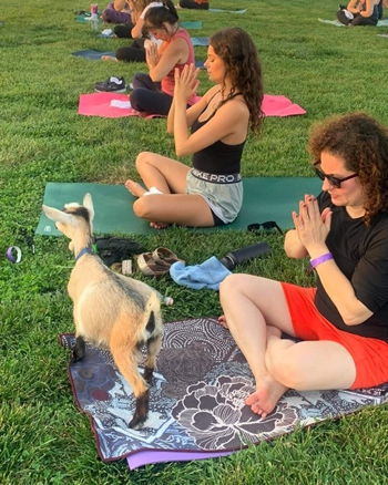 Family Goat Yoga at Dollie’s Farm