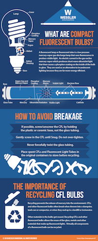 What Are Compact Fluorescent Light Bulbs? What Are Compact Fluorescent Light Bulbs?