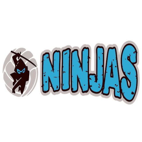 Logo for Ninjas