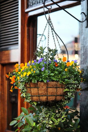 Sunny Lawn Farms Hanging Basket Workshop