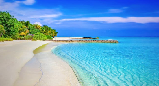 Image for Retire to a "Blue Zone"