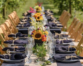 Sunset Dinner in the Vineyard