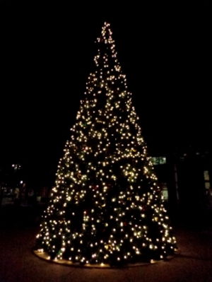 Christmas 2015 in Johnson County