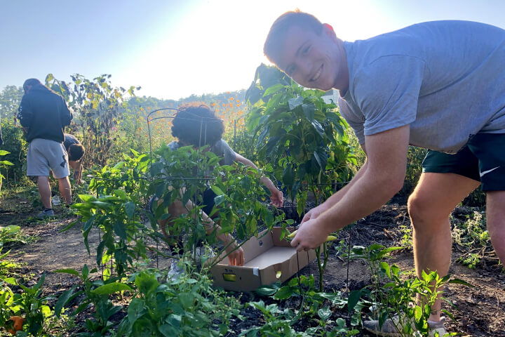 Teenage boys helping garden