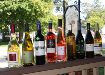 Vino Villa