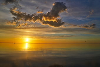 Image for Planning for a Sunset with a Tax Planning Perspective