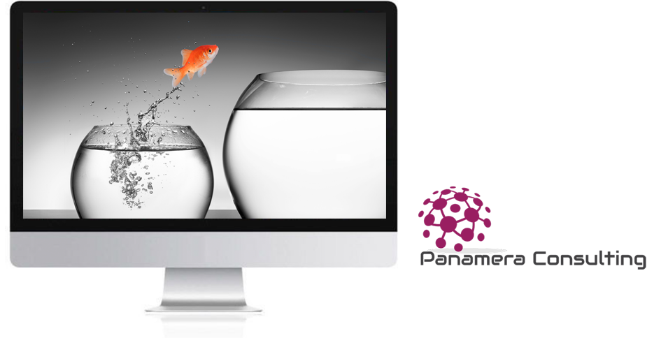 Panamera Consulting Clever Dogs Media