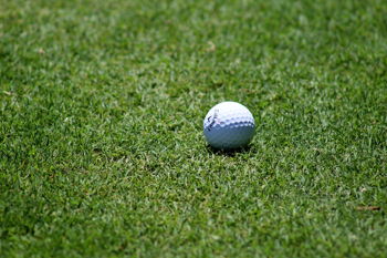 Franklin College GRIZ Golf Classic
