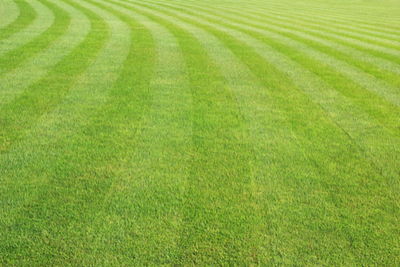 Image of mowing lines in grass