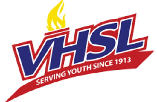 Image for Virginia Elite Athletes Earn State, Regional & AVCA Honors