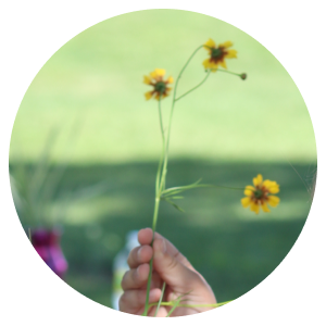 Hand holding small flowers