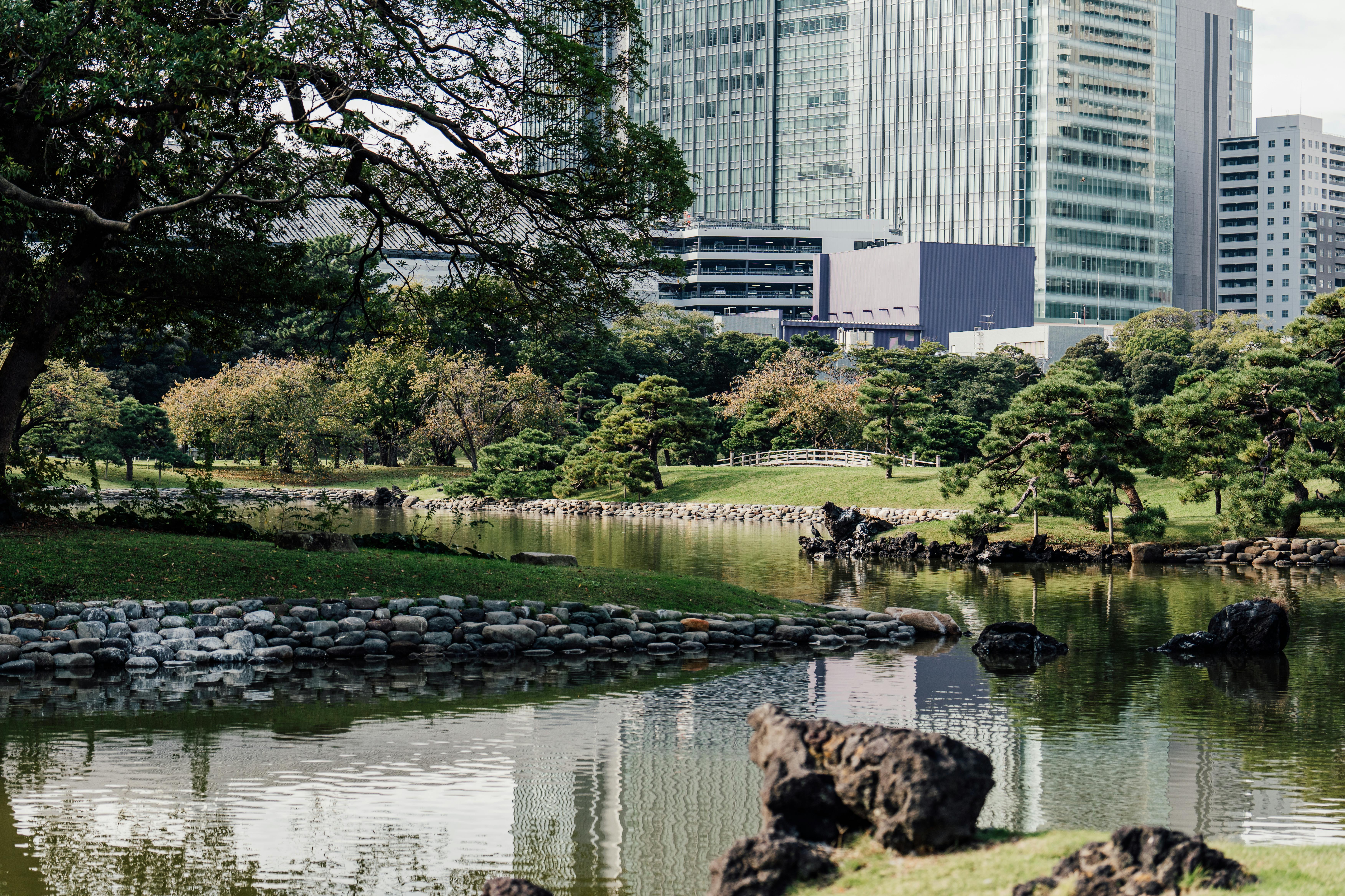 Park in Tokyo, Japan