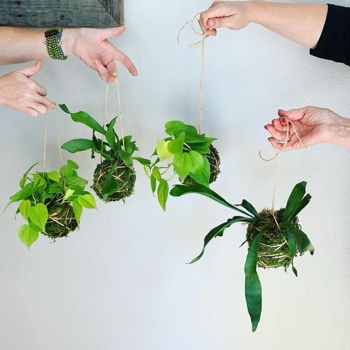 Kokodema Workshop at Miss M's