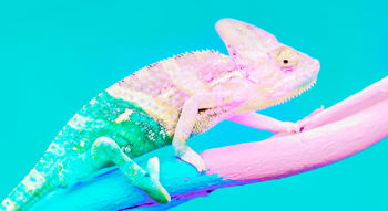 Adapting Your Business in Crisis Mode Image for Adapting Your Business in Crisis Mode