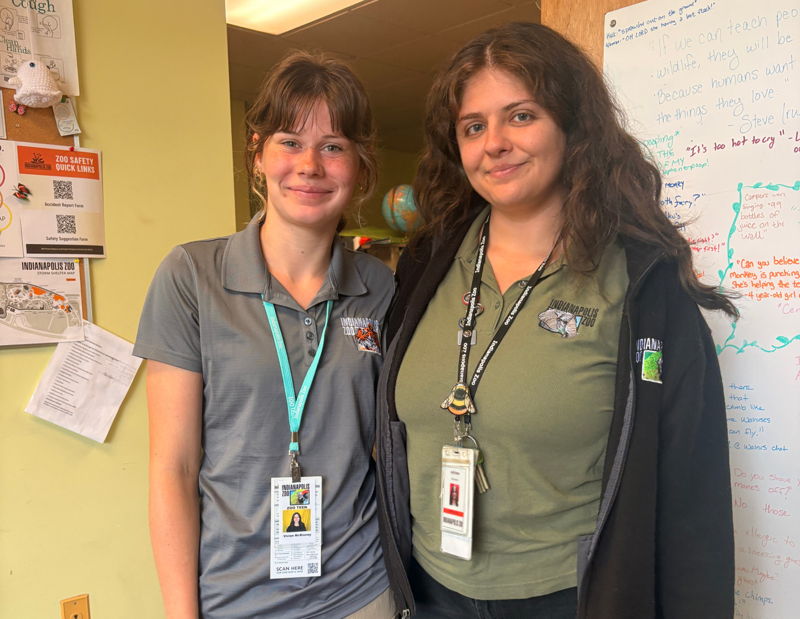 Image for Indianapolis Zoo Volunteer
