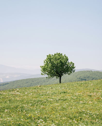 How to Build a Retirement Plan With Lock Wealth — Allie & Noah’s Story
