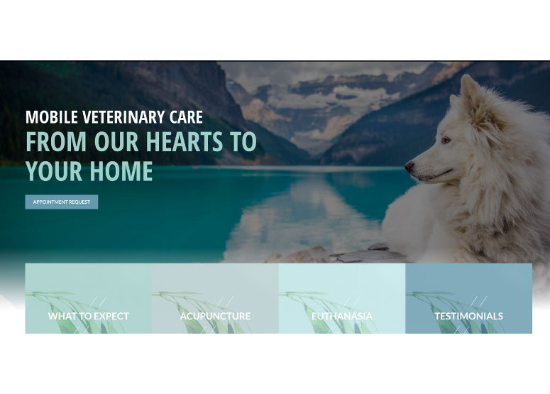 veterinary website case study