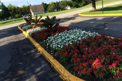 Image of flower bed