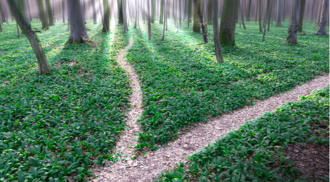 fork in the path journey to inc5000 fork in the path journey to inc5000