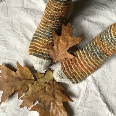 autumn 2 feet in cozy striped socks with dried leaves on a fabric surface