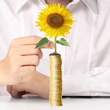 Image for Sunflower Financial Plans