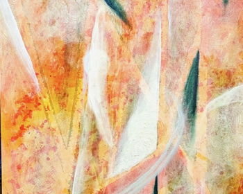 SALI Exhibit Featuring Vicky Shaffer White