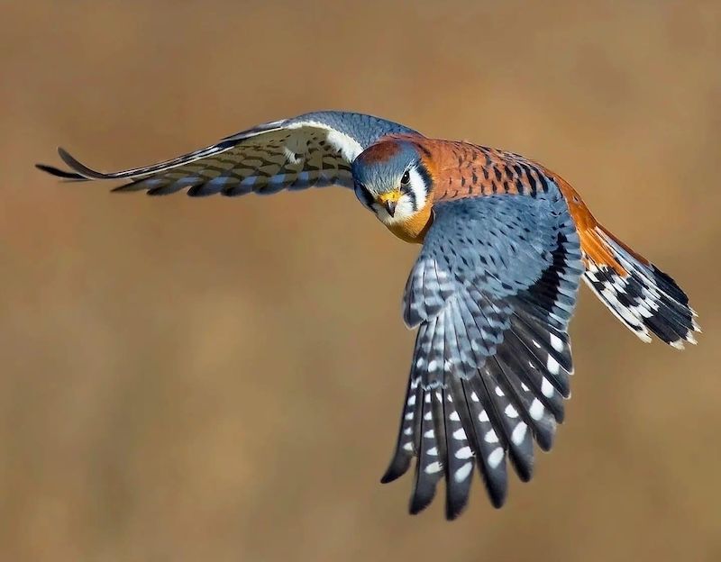 Image for Our Approach