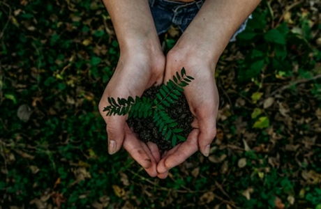 image for Faith-Based Investing and Environmental Sustainability