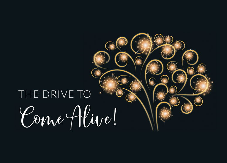 Drive to Come Alive Image for Drive to Come Alive