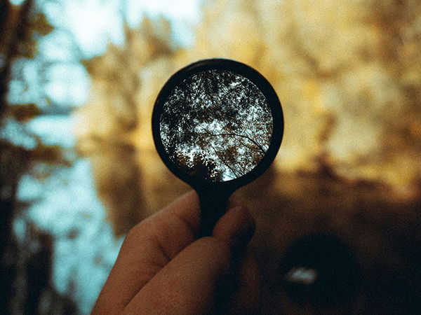 Image for The Cost of Stock Picking