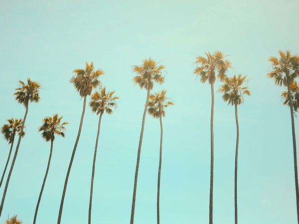 Image for California LLC Annual Tax Due 4/15