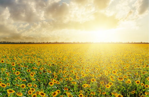 Image for What Investors Can Learn From 2025 Market Trends