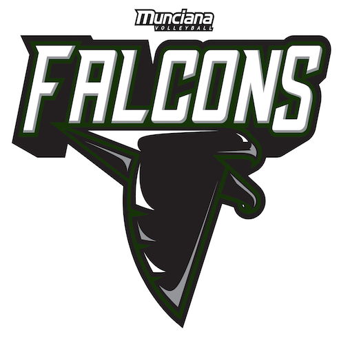 Logo for Falcons