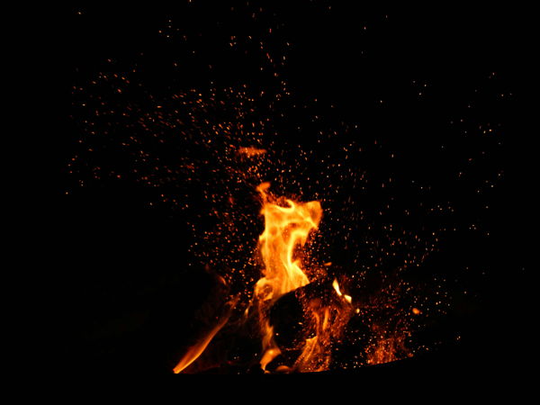Image for The Unwanted Truth About Employee Stock Options: Most People Get Burned