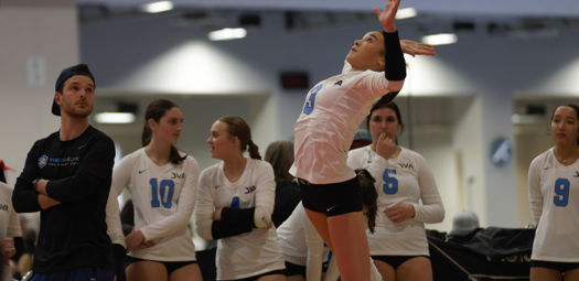 Image for Spring Serving Clinics
