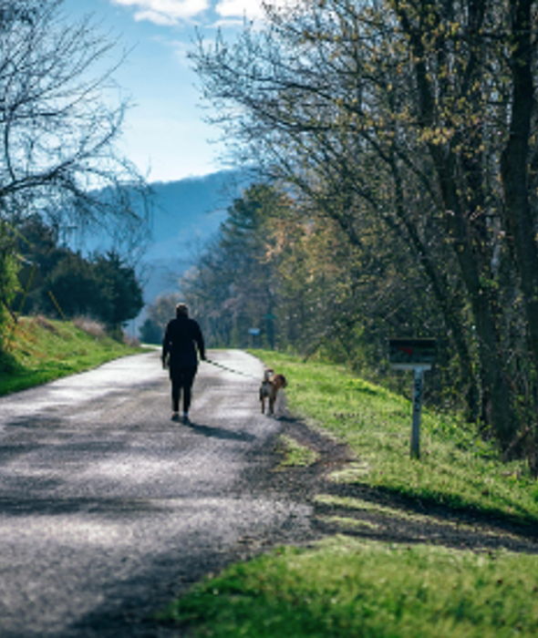 image for How to Modify Your Retirement Investing If You Have a Sizable Pension