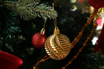 Porch Pots at Miss M’s Porch Pots at Miss M’s