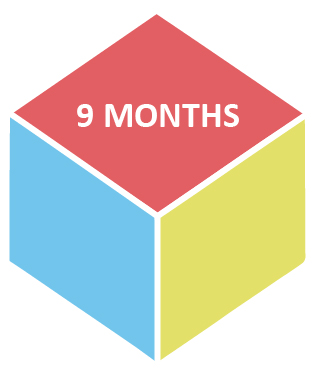 9 months cube icon