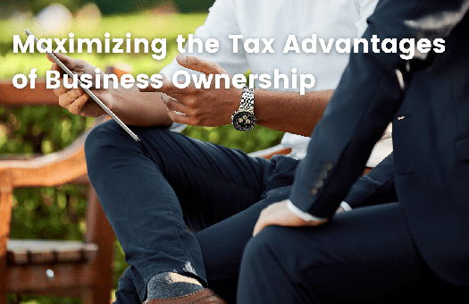 Image for Maximizing the Tax Advantages of Business Ownership