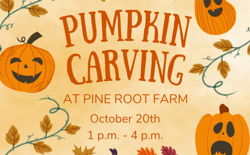 Image for Pumpkin Carving