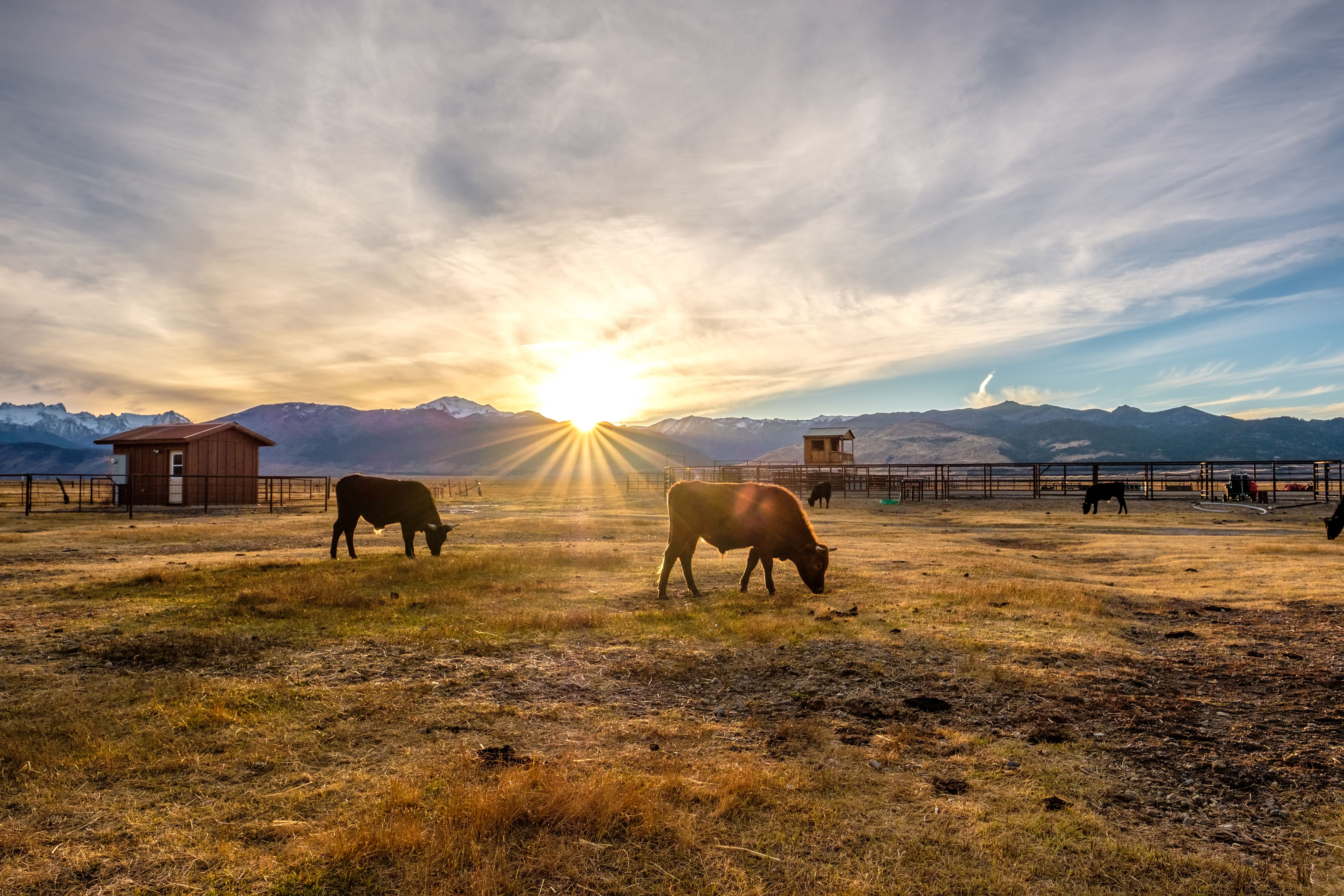 legal-tips-for-buying-or-selling-a-ranch-farm-or-nonresidential-property