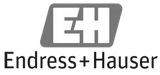 Logo for Endress Hauser