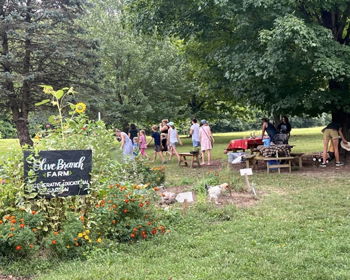 Women's Gathering at Olive Branch Farm