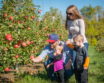 Apple Works: A Haven for Harvest Fun