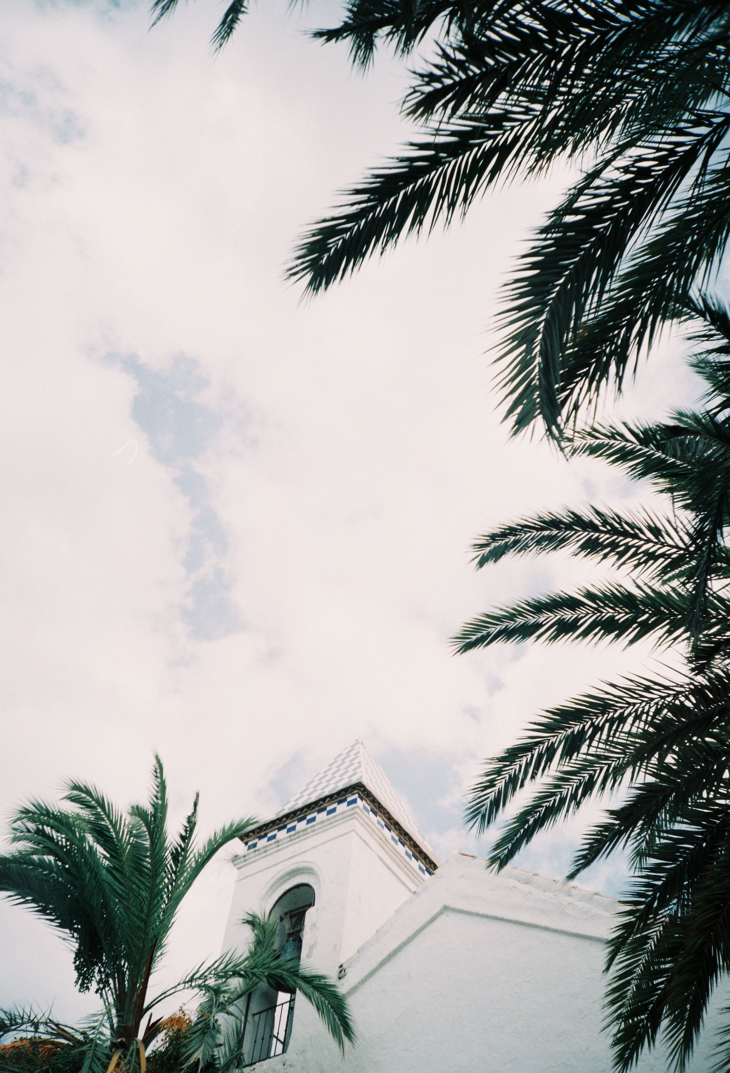 Beautiful white architecture surrounded by palm trees under cloudy skies in Marbella, Spain.