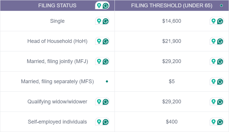 2025 US tax filing thresholds (under 65)