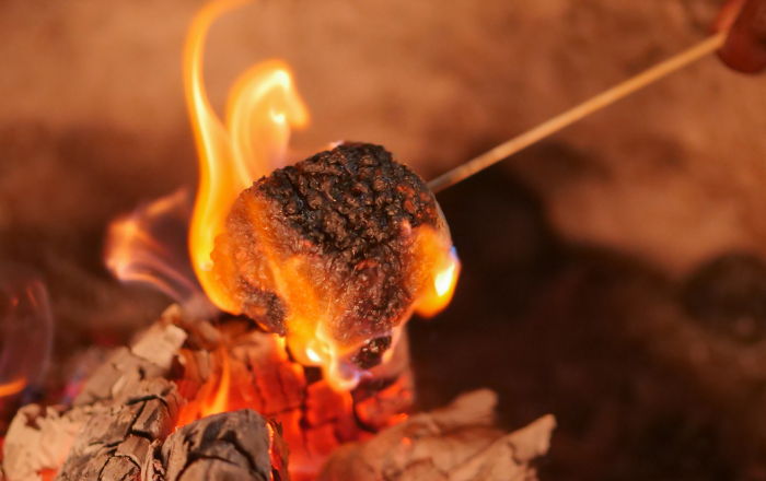 Image for Roasting Marshmallows at the Dumpster Fire