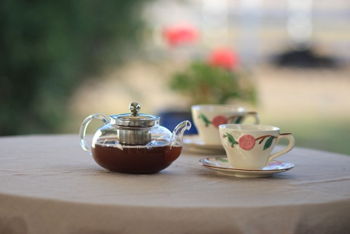 Summer Camp Book & Tea Salon Summer Camp Book & Tea Salon