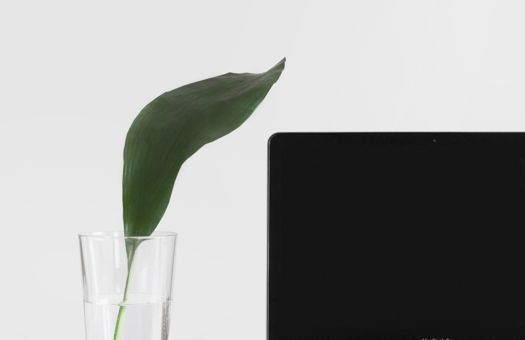 What Your Website Designer Needs to Know to Build Your Website Image for What Your Website Designer Needs to Know to Build Your Website